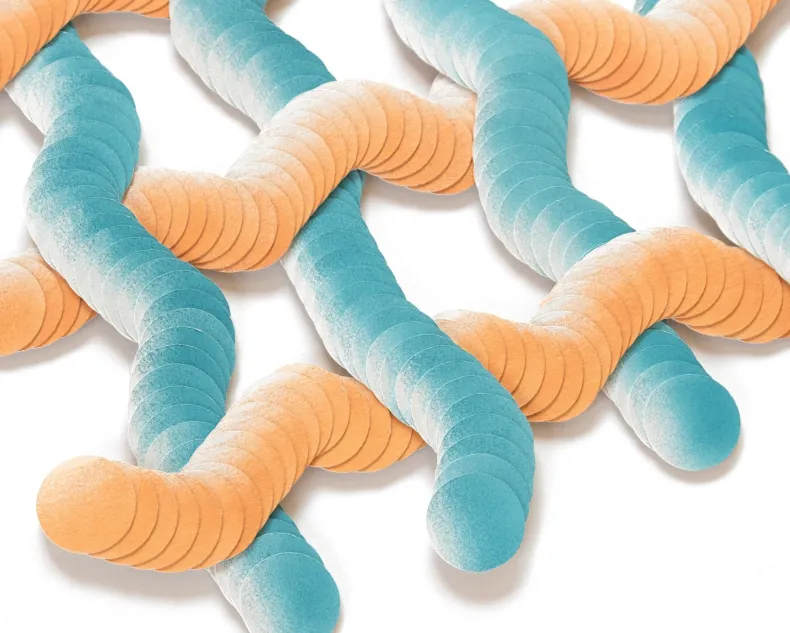 No.25 by Haneno Suzuki (Haneno Suzuki: Paper weaving)