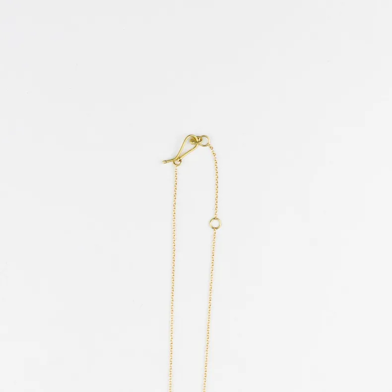 Black Barc 'Ishi' Apatite Necklace