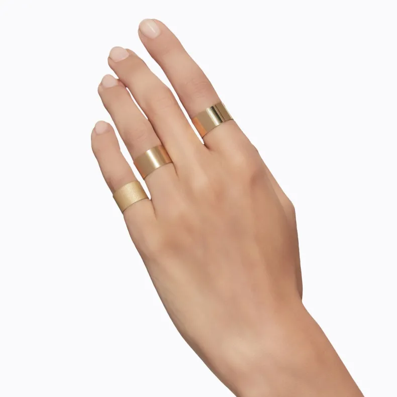 Shihara Plate Ring 10.0