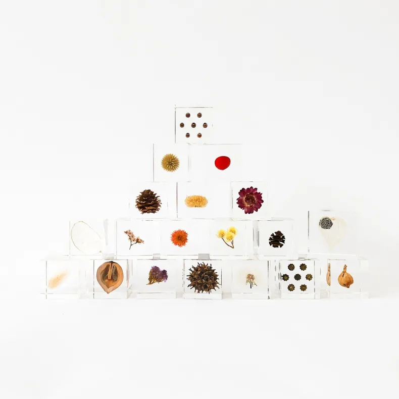 Sola Cubes - Seeds & Plants