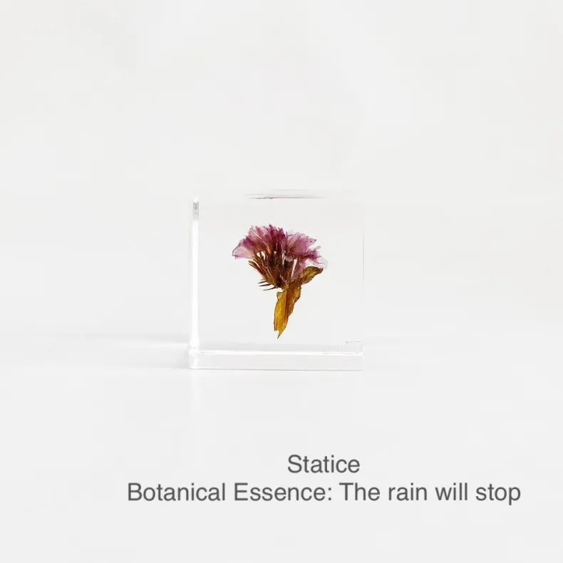 Sola Cubes - Seeds & Plants