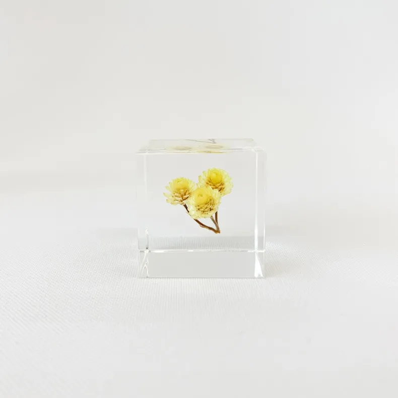 Sola Cubes - Seeds & Plants