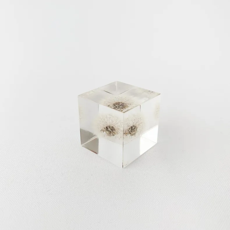 Sola Cubes - Seeds & Plants