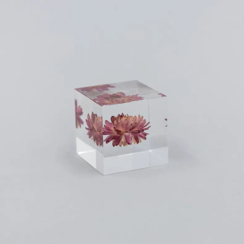 Sola Cubes - Seeds & Plants