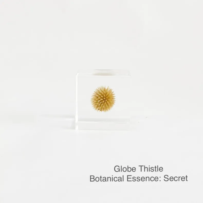 Sola Cubes - Seeds & Plants