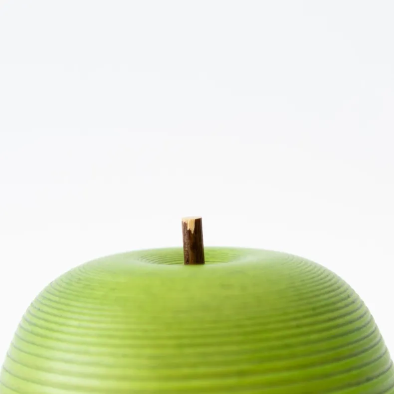 Bunaco Apple Container