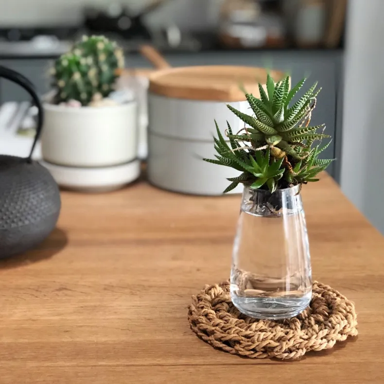 F/style Shina Bark Trivet