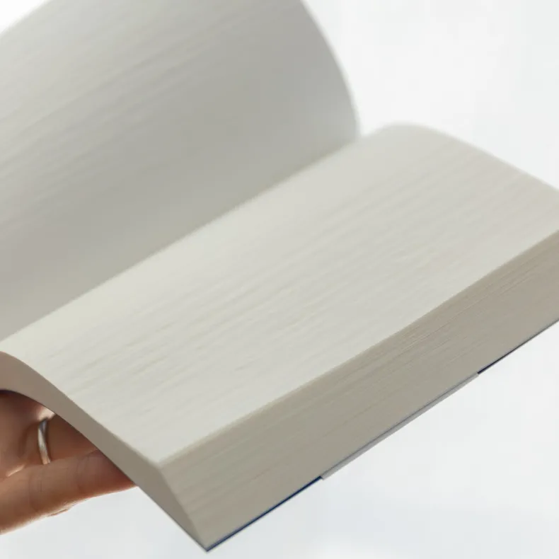 TAKEO Dressco Onionskin Notebook