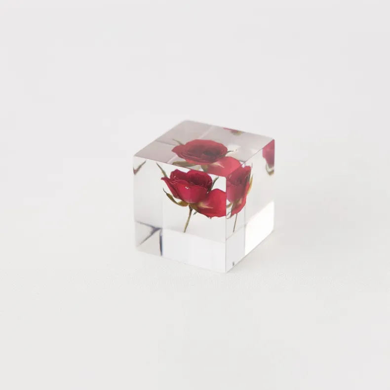 Sola Cube - Rose (Limited Edition)