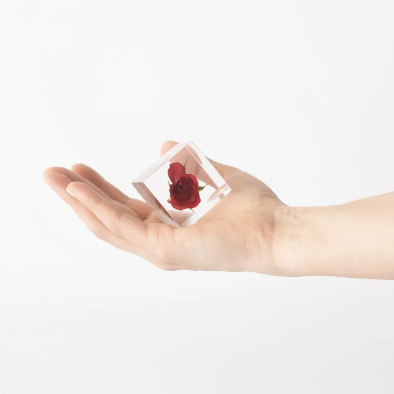 Sola Cube - Rose (Limited Edition)