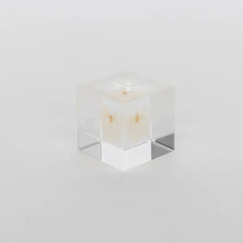 Sola Cube - Apple of Peru