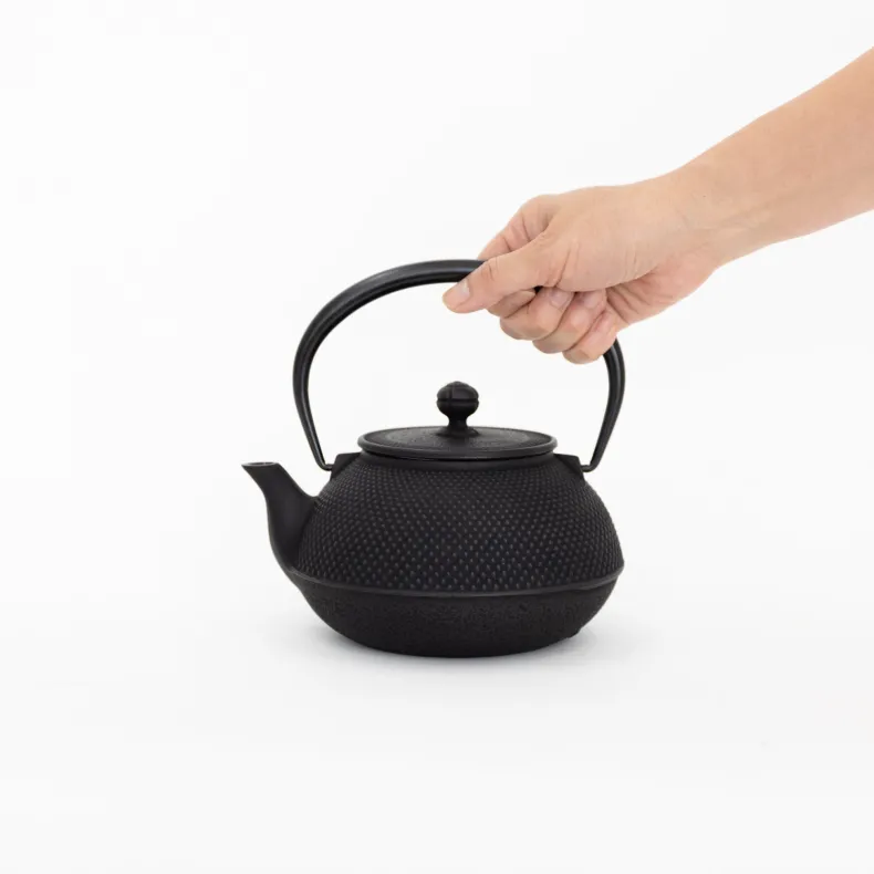 Nambu Tekki Cast Iron Teapot with Strainer - Arare