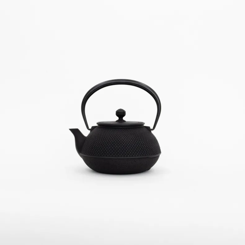 Nambu Tekki Cast Iron Teapot with Strainer - Arare