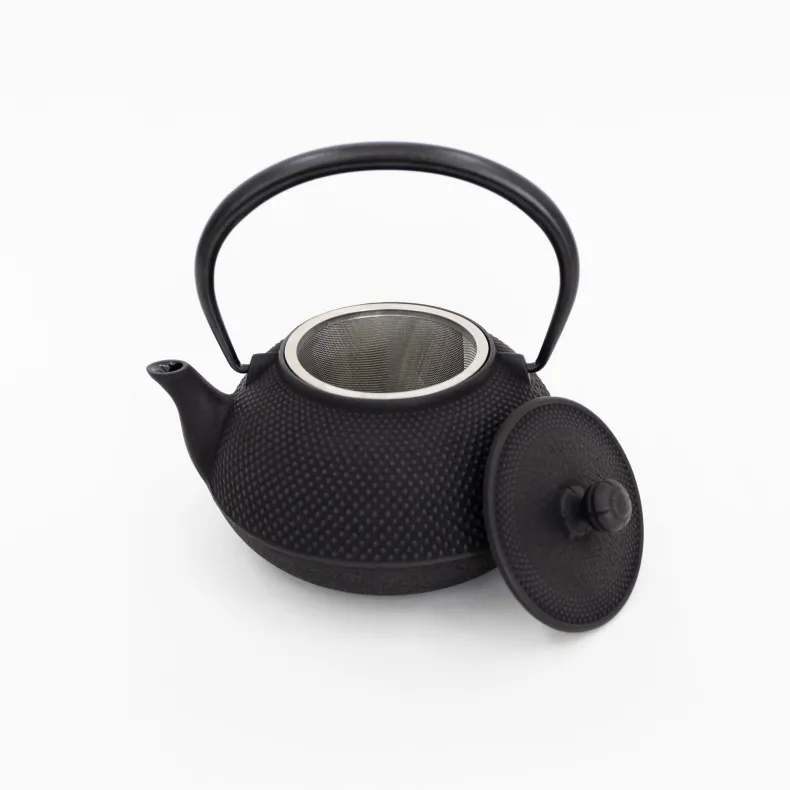 Nambu Tekki Cast Iron Teapot with Strainer - Arare