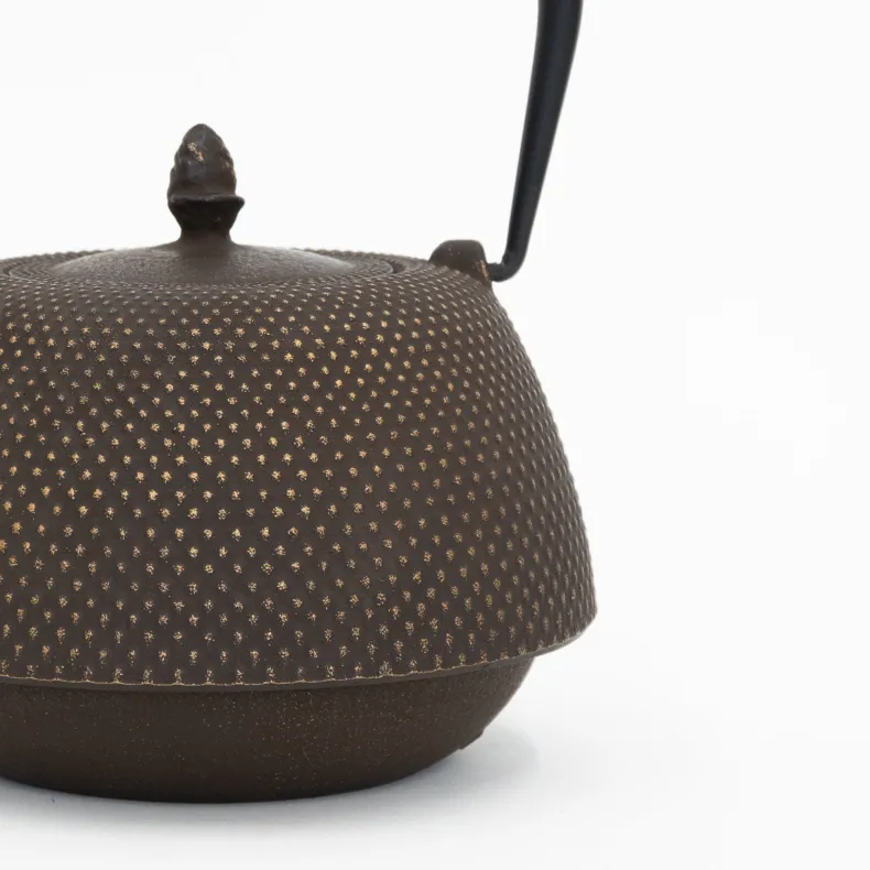 Nambu Tekki Cast Iron Teapot with Strainer - Arare