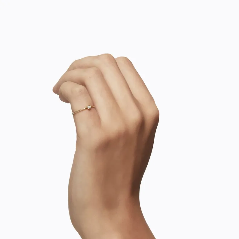 Shihara Petite Ring 02