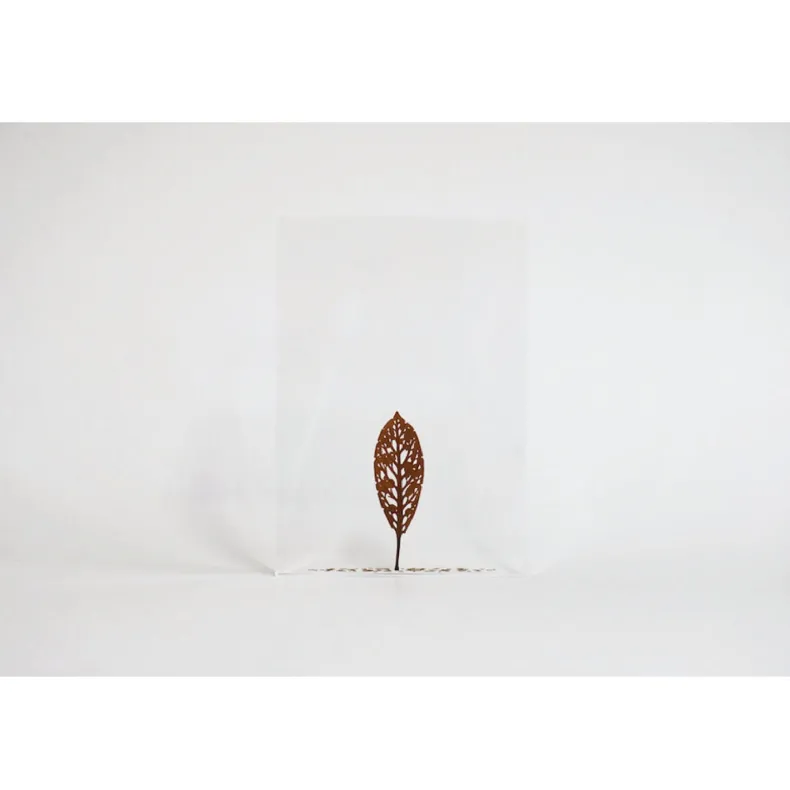 #57 - Fallen Leaves #1 (All Around You, 2024) by Mitsuru Koga