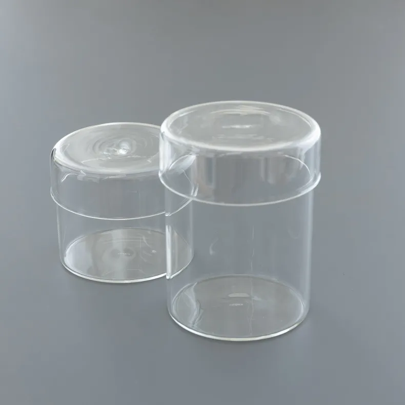 KINTO Schale Glass Case