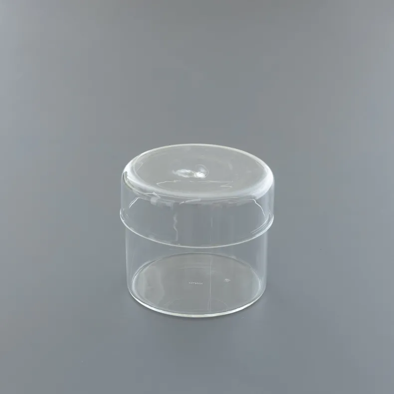 KINTO Schale Glass Case