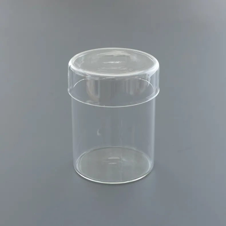 KINTO Schale Glass Case